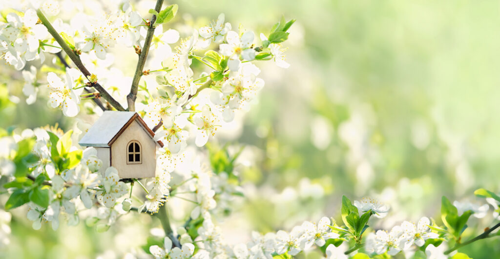 Springtime theme with birdhouse and flowering tree